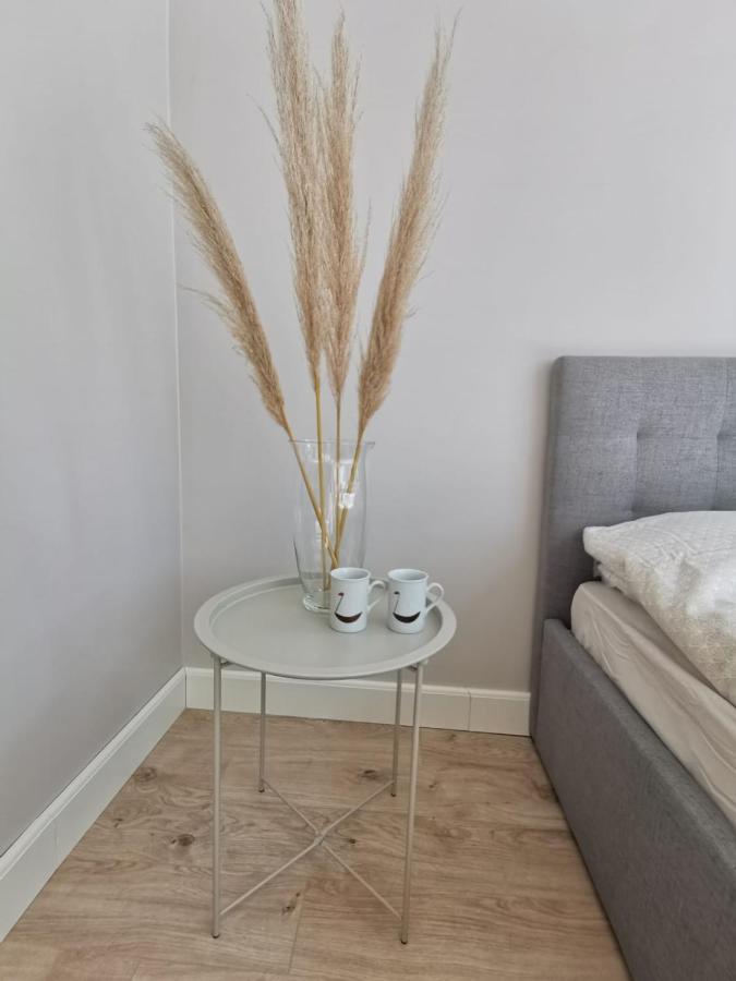 Tolstoi Scandinavian 1 Bedroom Apartment + Free Parking ตาร์ตู ภายนอก รูปภาพ